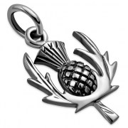 Plain Silver Thistle Pendant, pn429